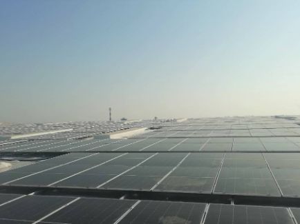 狗万·(中国区)有限公司官网